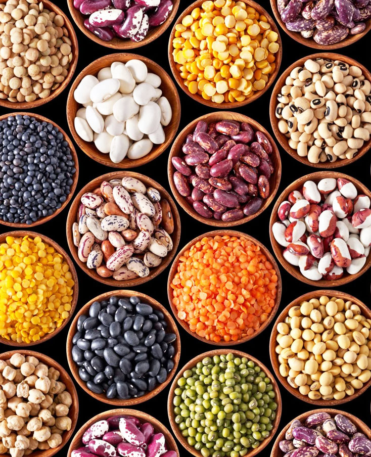 images 734x904 pulses images 734x904 pulses